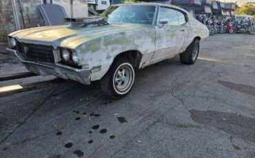 Buick-skylark-1970-green-21