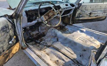 Buick-skylark-1970-green-23