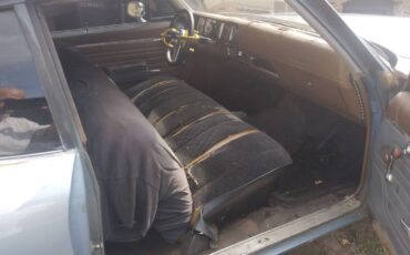 Buick-skylark-1972-blue-8