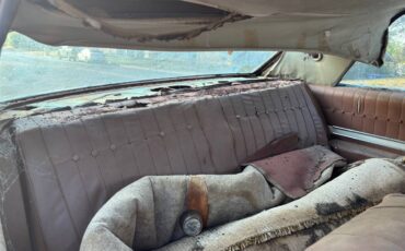 Buick-skylark-hardtop-1964-brown-9