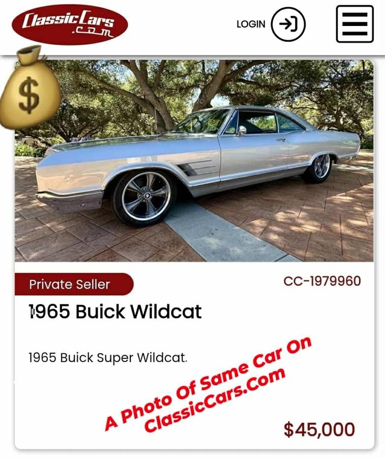 Buick-wildcat-1965-8