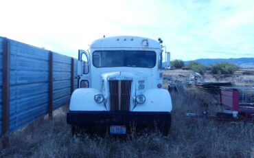 Bus-1956-white-1