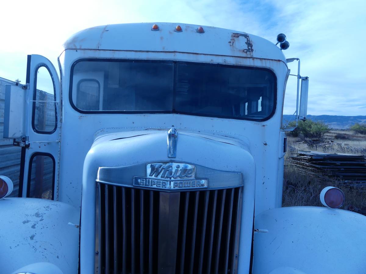 Bus-1956-white-4