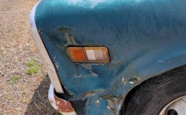 C-30-1969-green-4