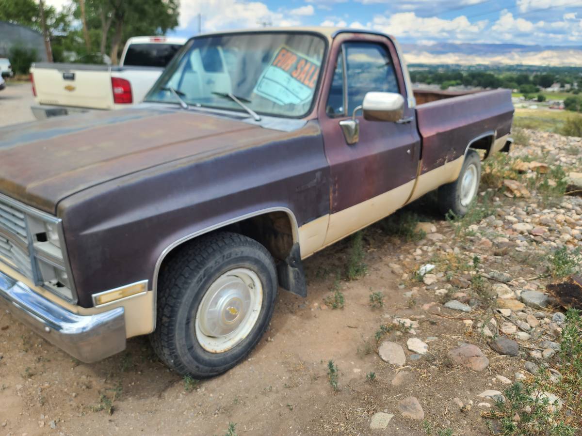 C20-1983-brown-1
