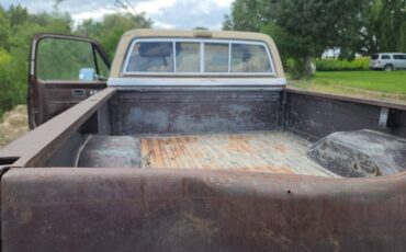 C20-1983-brown-2