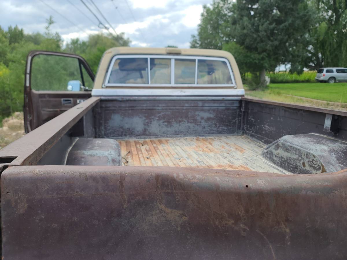 C20-1983-brown-2
