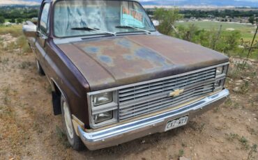 C20-1983-brown