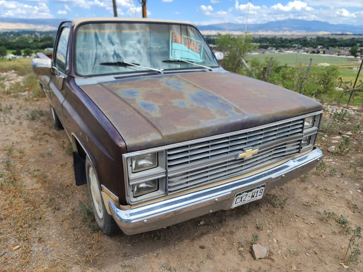 C20-1983-brown
