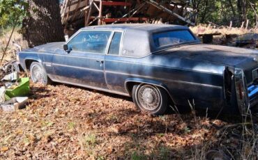 Cad-coupe-1982-blue