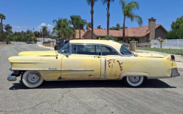 Cadillac-1954-5