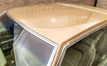 Cadillac-Coupe-DeVille-1979-Coupe-14