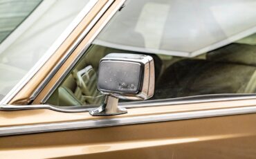Cadillac-Coupe-DeVille-1979-Coupe-20
