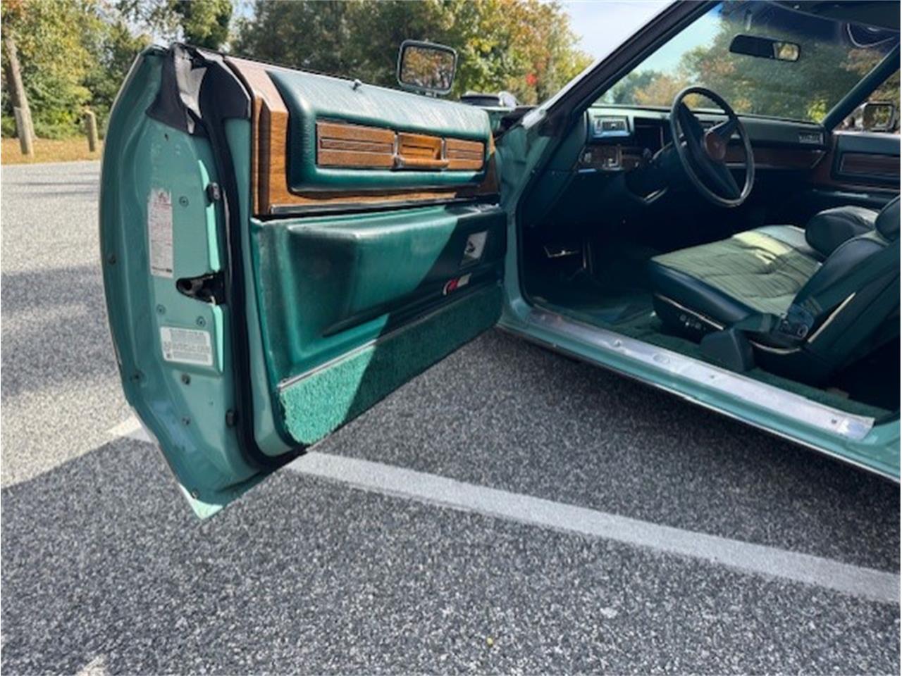 Cadillac-Coupe-deville-1975-Dunbarton-Green-Green-Plaid-27