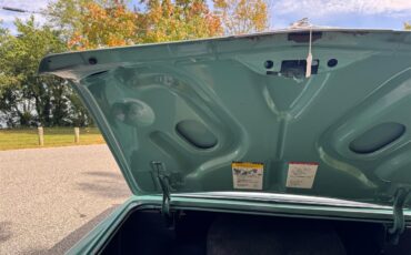 Cadillac-Coupe-deville-1975-Dunbarton-Green-Green-Plaid-39