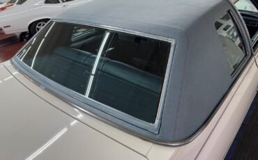 Cadillac-DeVille-1975-14