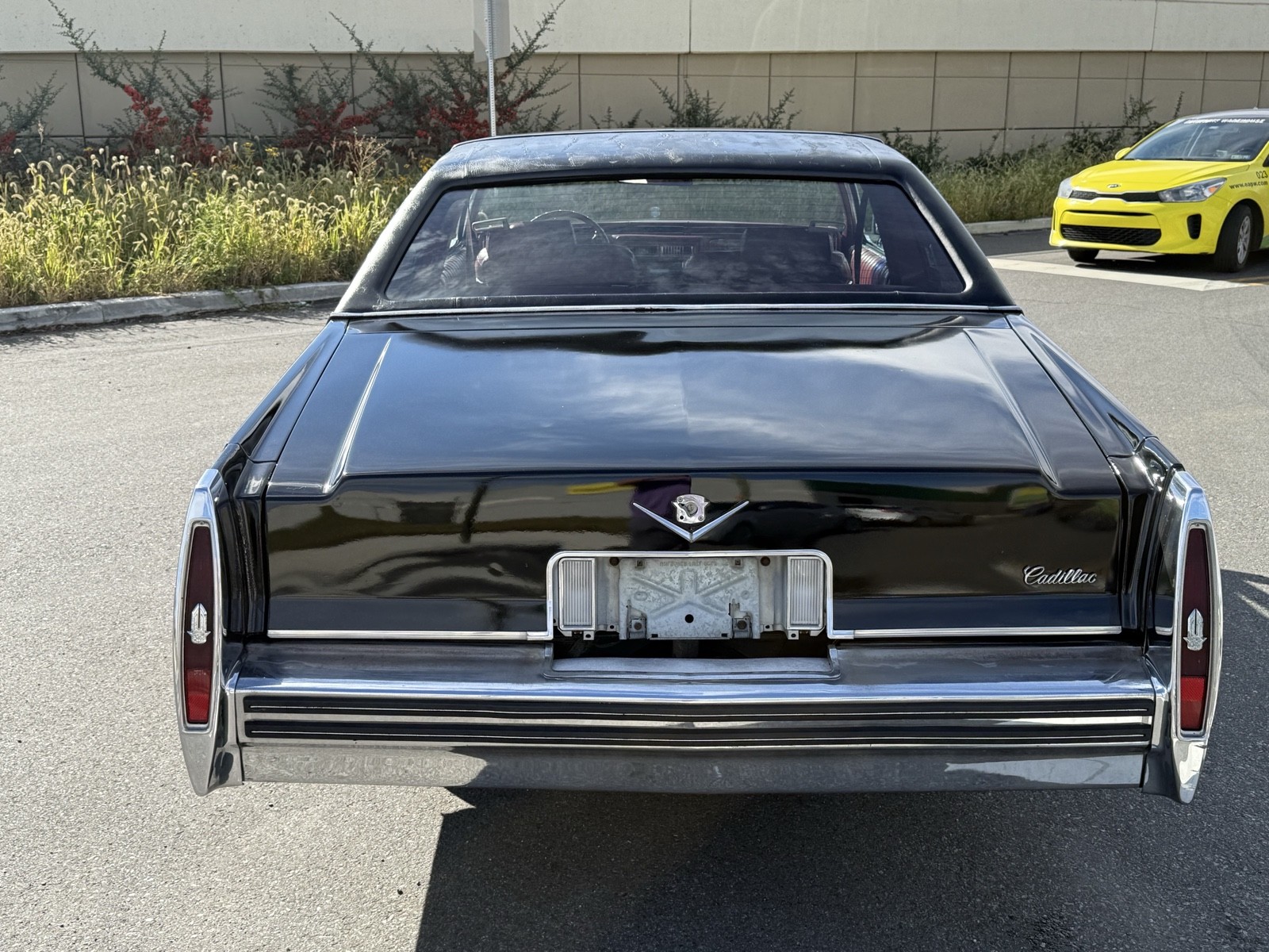 Cadillac-DeVille-1979-5