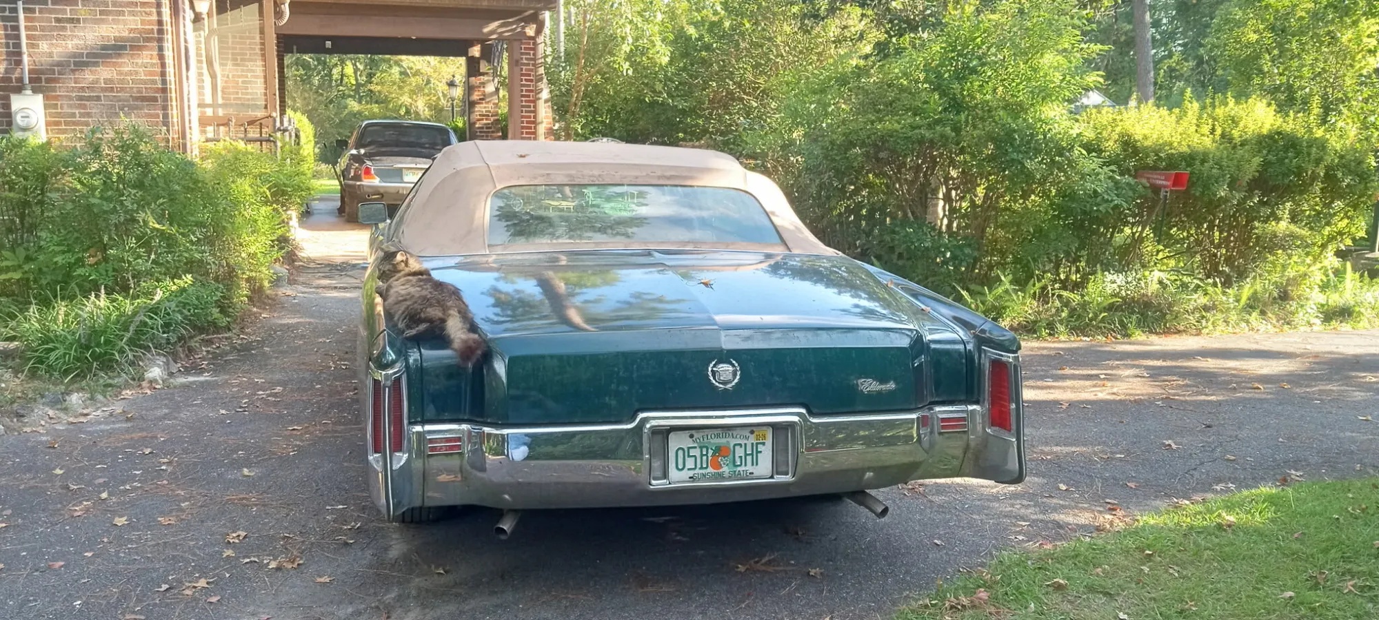 Cadillac-Eldorado-1972-Dark-Green-Tan-2