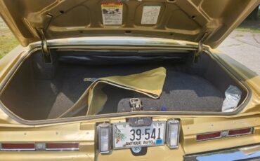 Cadillac-Eldorado-1974-Gold-Gold-6