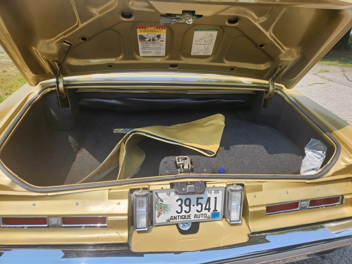 Cadillac-Eldorado-1974-Gold-Gold-6