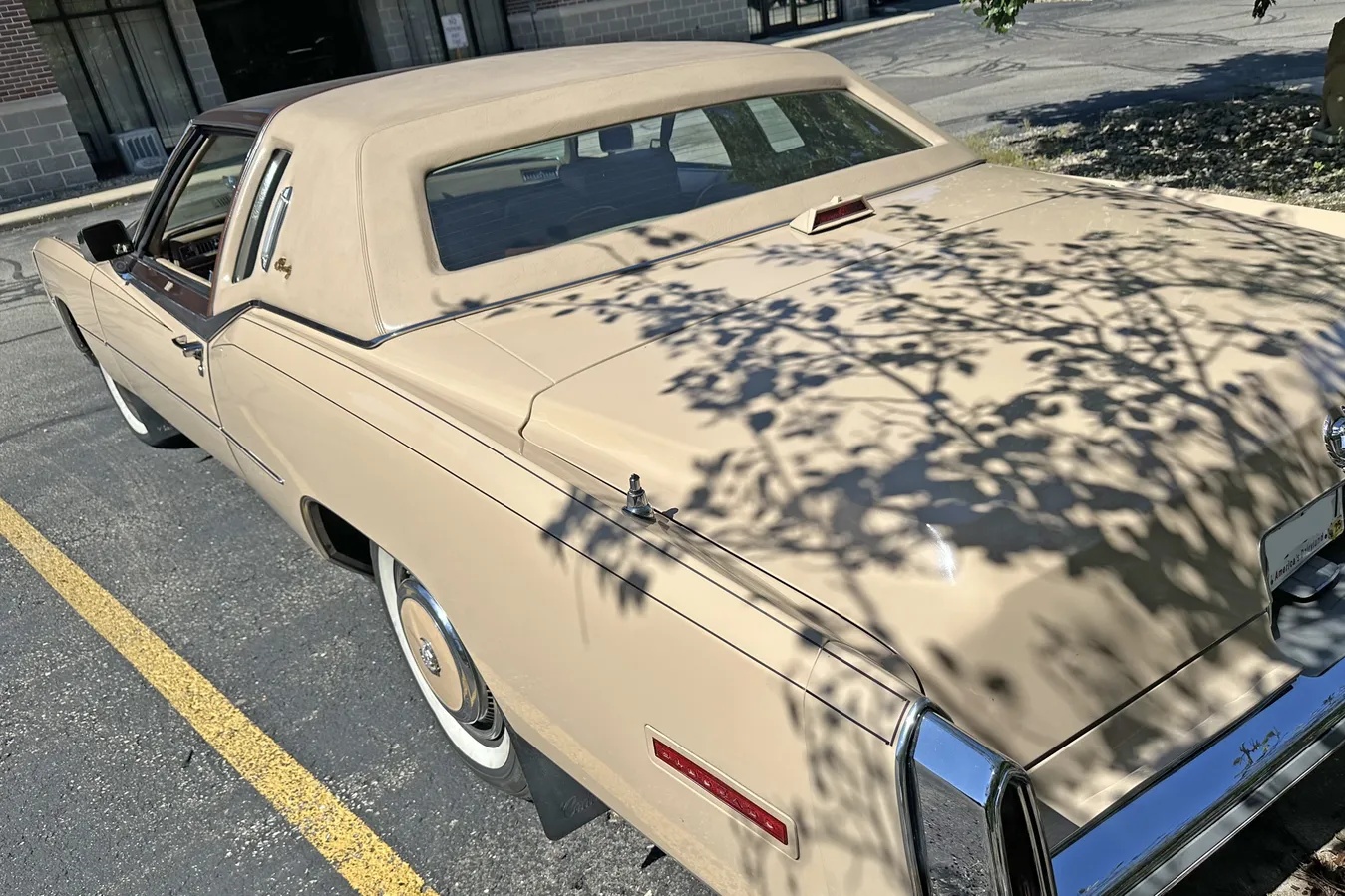 Cadillac-Eldorado-1978-Arizona-Beige-amp-Demitasse-Brown-Brown-1