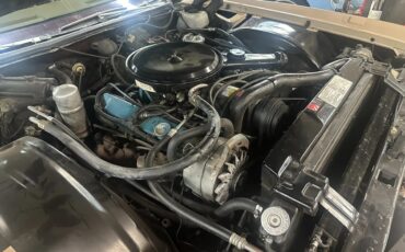 Cadillac-Eldorado-1978-Arizona-Beige-amp-Demitasse-Brown-Brown-10
