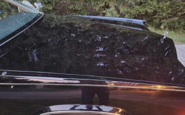 Cadillac-Eldorado-1984-Black-Gray-6