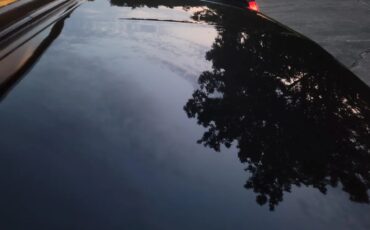 Cadillac-Eldorado-1984-Black-Gray-8