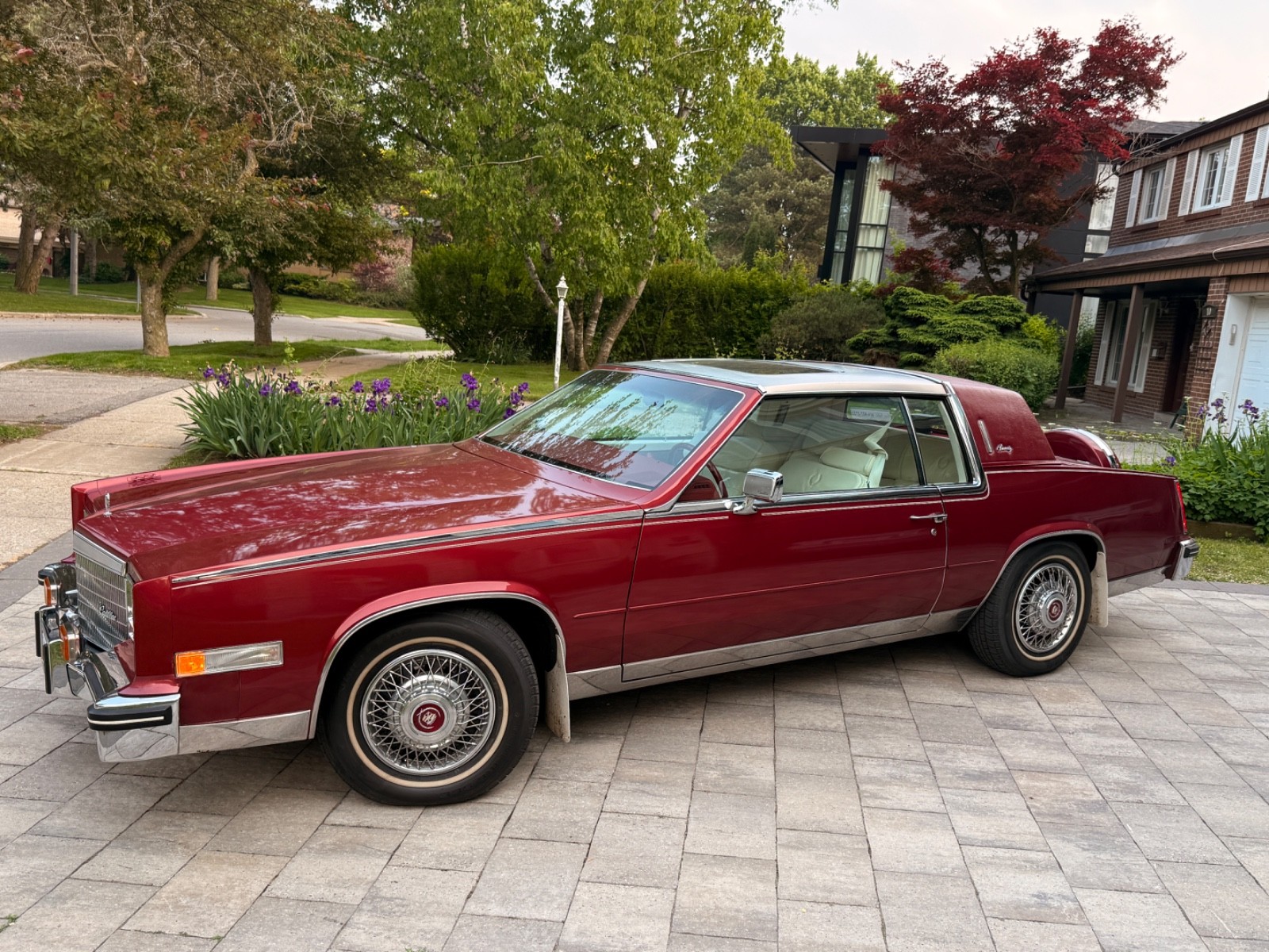 Cadillac Eldorado 1984 Coupe