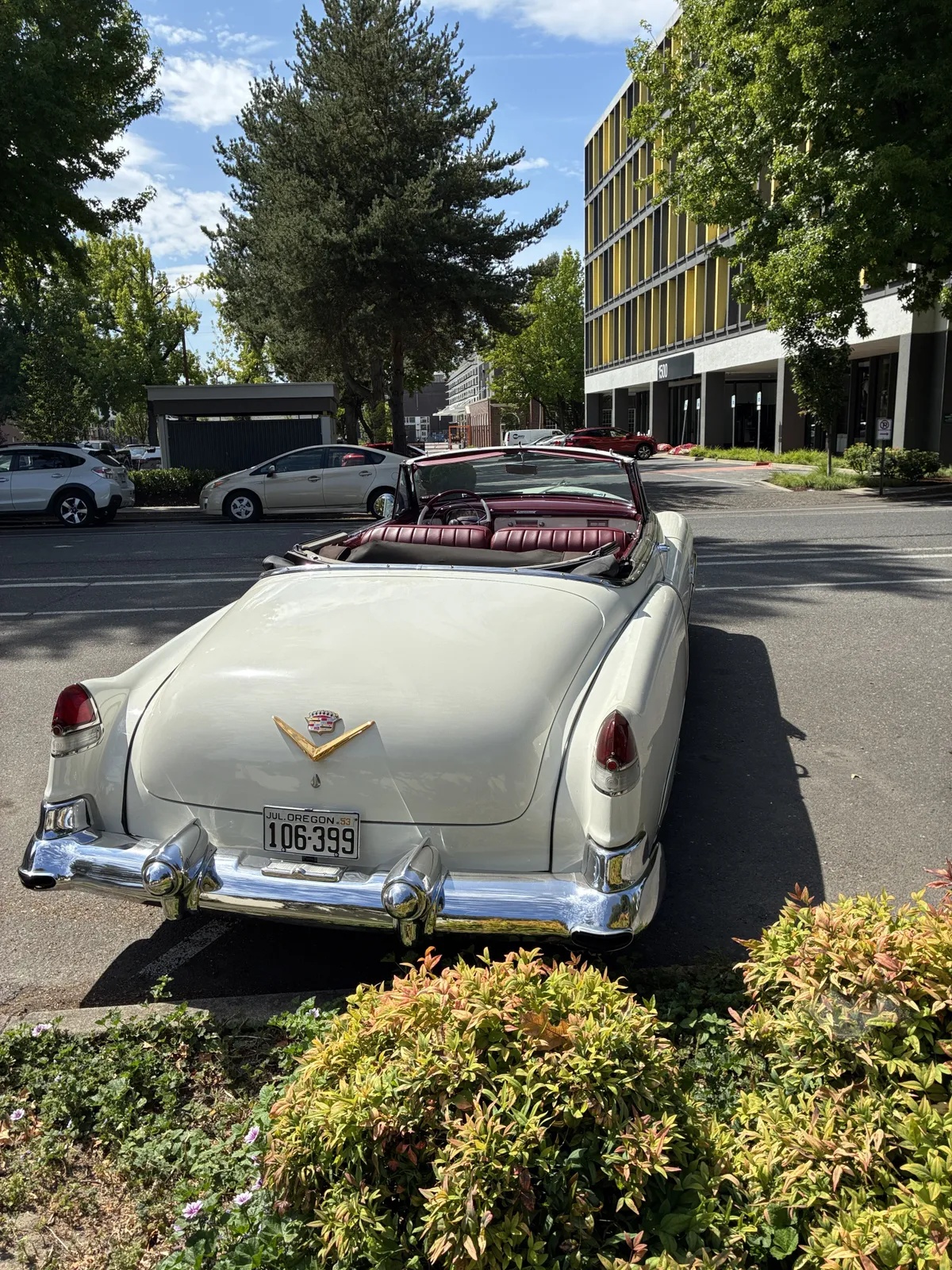 Cadillac-Series-62-1953-Alpine-White-Burgundy-10