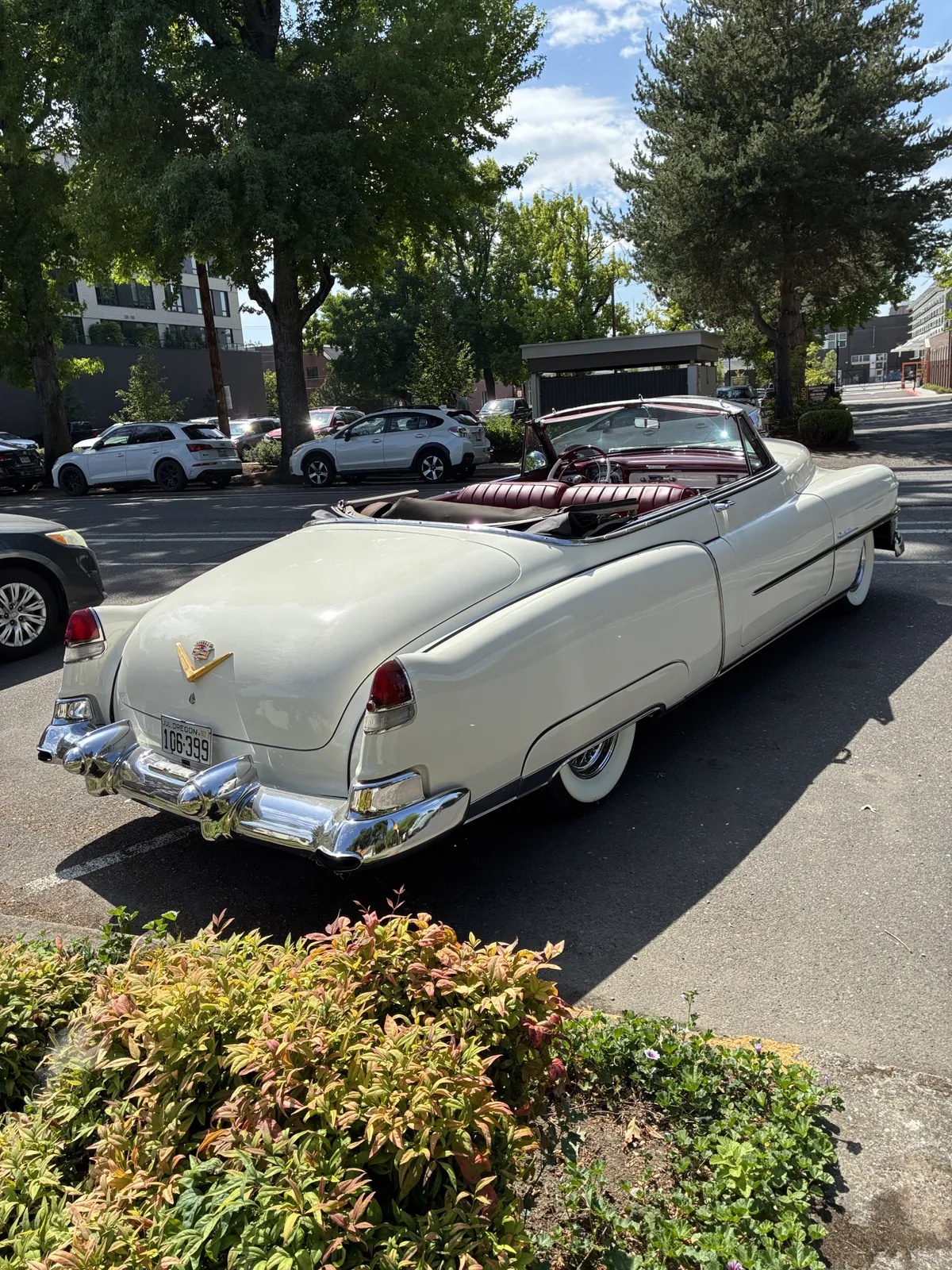 Cadillac-Series-62-1953-Alpine-White-Burgundy-5