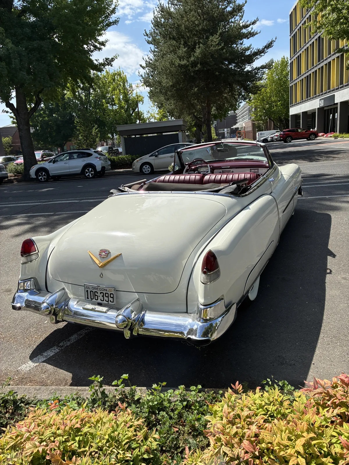Cadillac-Series-62-1953-Alpine-White-Burgundy-6
