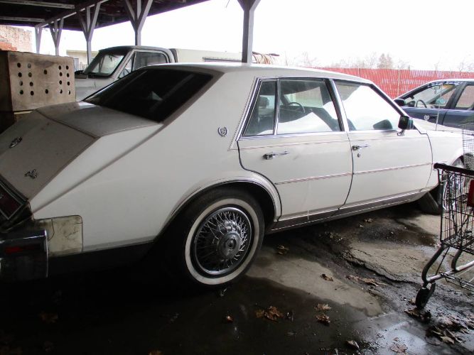 Cadillac-Seville-1980-White-4