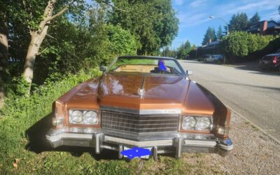 Cadillac eldorado convertible 1974