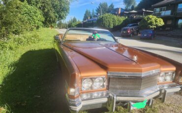 Cadillac-eldorado-convertible-1974-6
