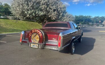 Cadillac-fleetwood-1980-2