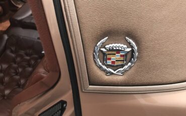 Cadillac-fleetwood-1991-custom-5