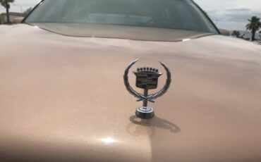 Cadillac-fleetwood-1991-custom-6