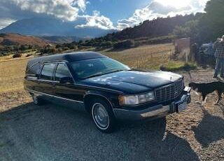Cadillac-fleetwood-federal-1995-black-19