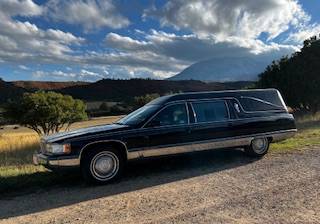 Cadillac-fleetwood-federal-1995-black-3