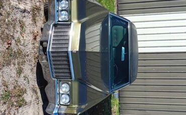 Cadillac-sedan-deville-1970-green-4
