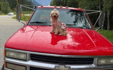 Chev-cheyanne-3500-dually-1995-red-1
