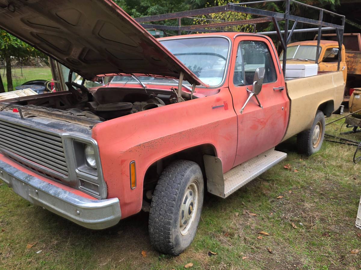 Chev-k10-1979-1