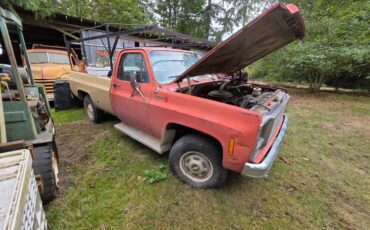 Chev-k10-1979-3