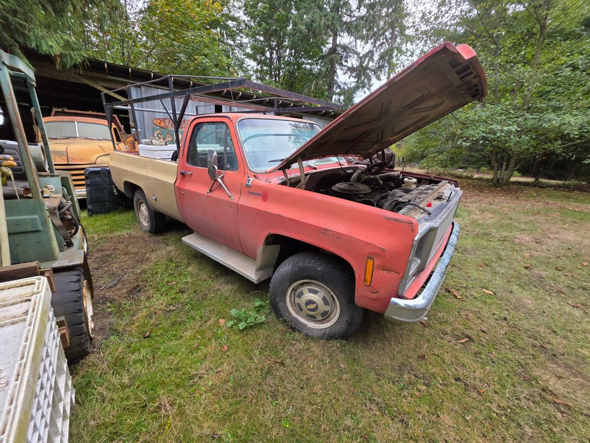 Chev-k10-1979-3