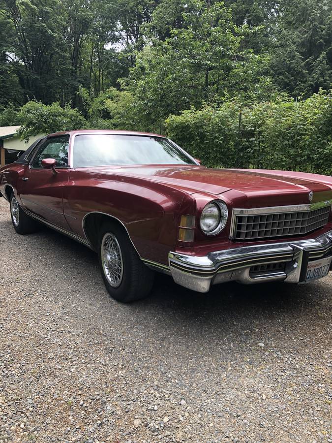 Chev-monte-carlo-1974-custom-10
