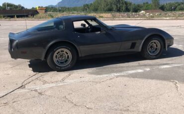 Cheverolet-corvette-1981-grey-2