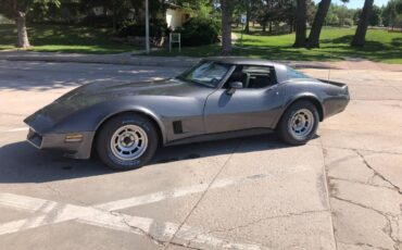 Cheverolet-corvette-1981-grey