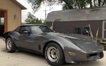 Cheverolet-corvette-1981-grey-8