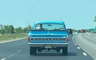 Chevrolet-10-1969-Blue-Blue-6